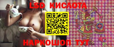 mdpv Гусев