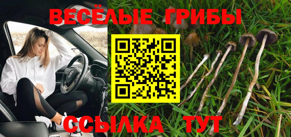 Лысьва  Галлюциногенные грибы мицелий  наркошоп  Вход с VPN 